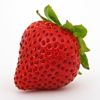 Erdbeere