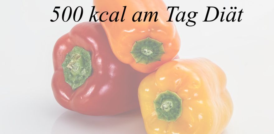 Wunderbar 500 Kalorien Am Tag Ebenbild